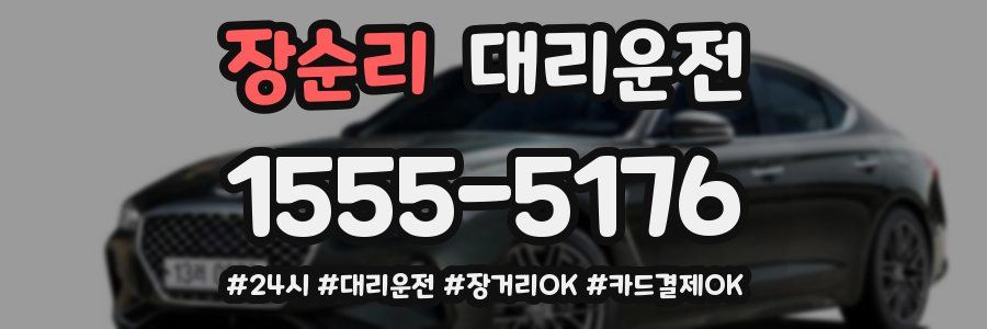 장순리 대리운전