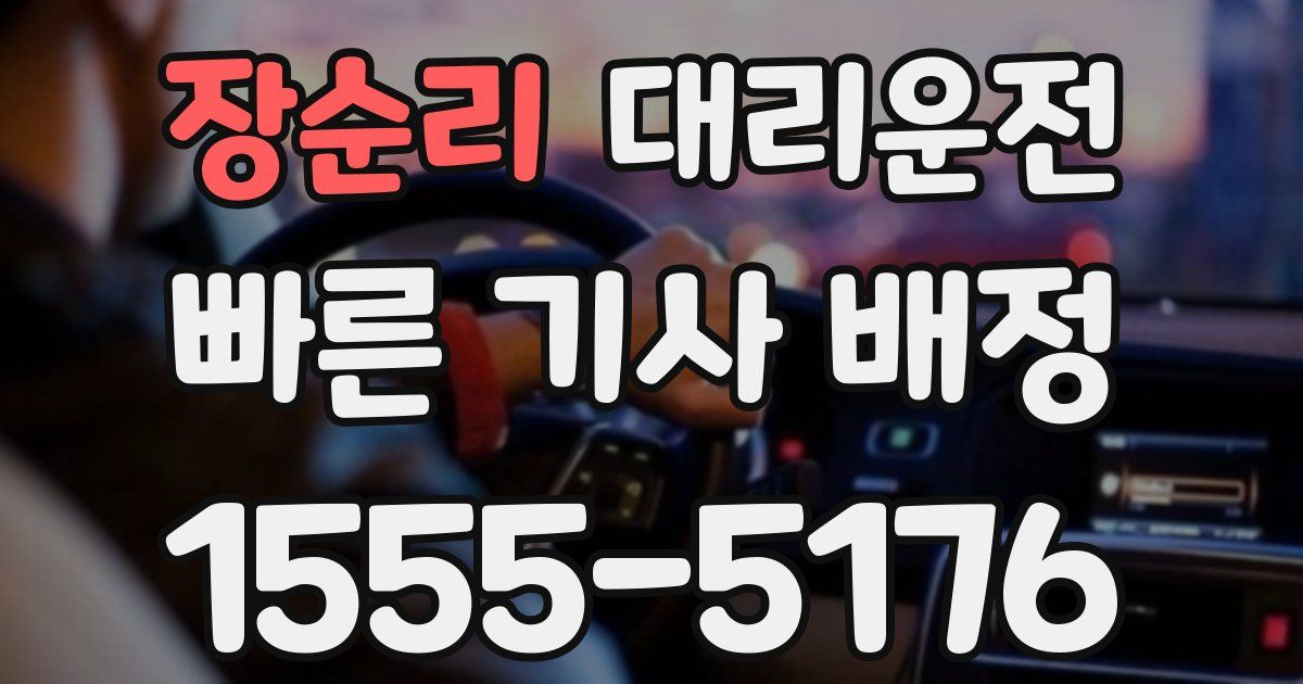일일대리기사