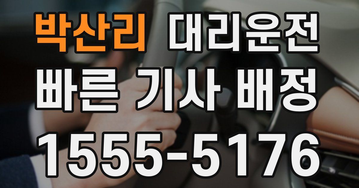 일일대리기사