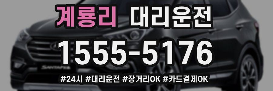 계룡리 대리운전