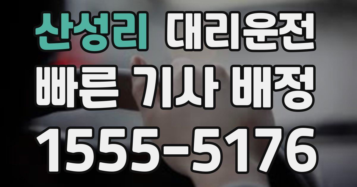 일일대리기사