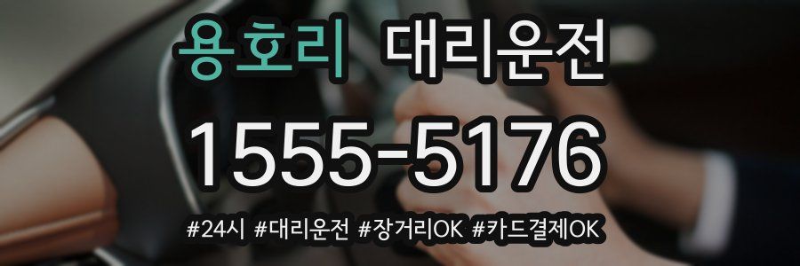 용호리 대리운전