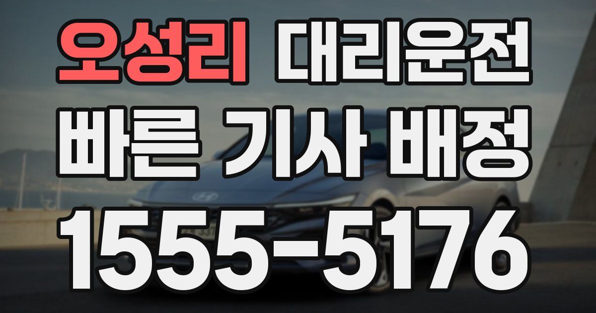 일일대리기사