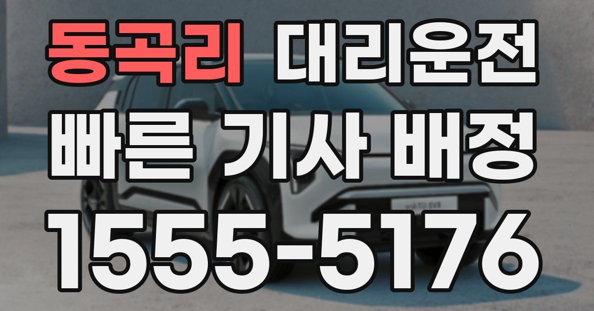 일일대리기사