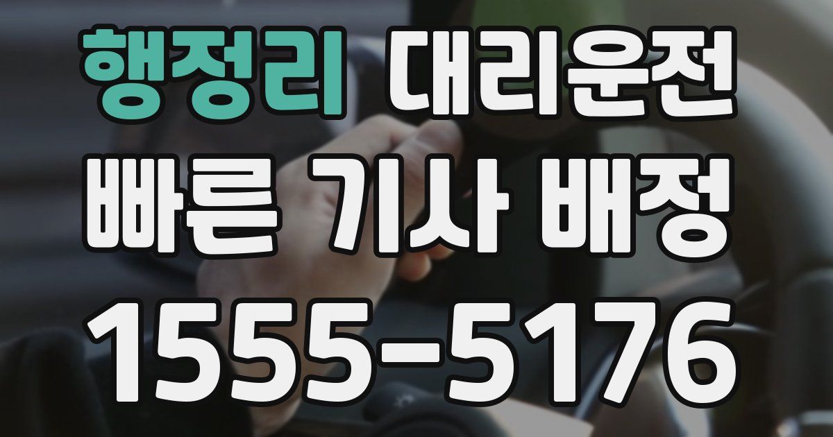 일일대리기사
