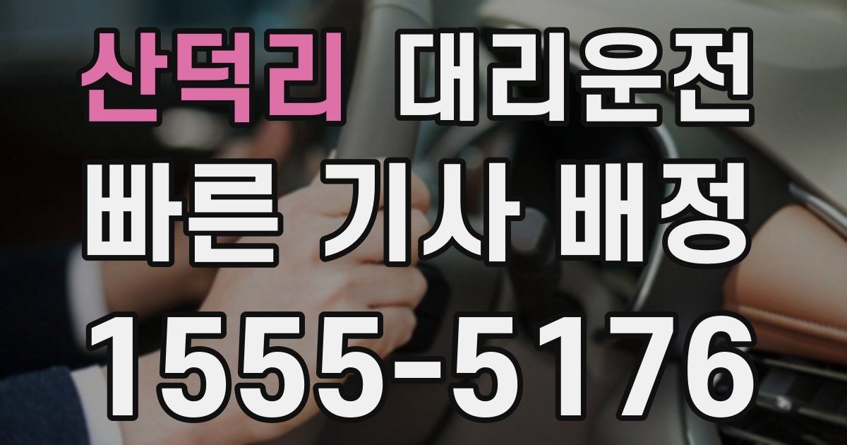 일일대리기사
