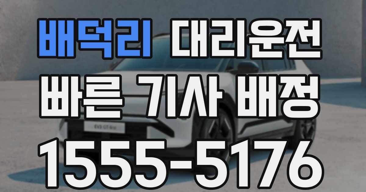 일일대리기사
