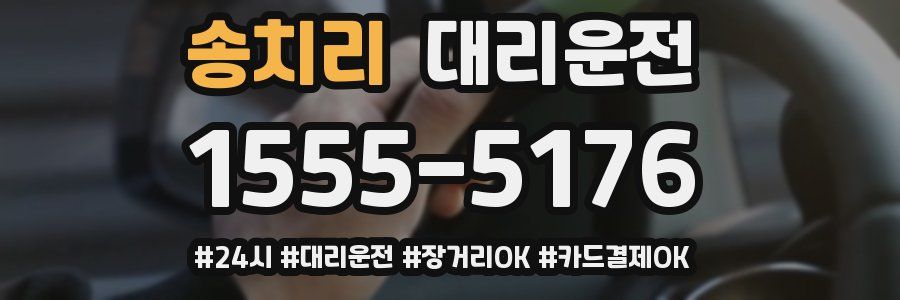 송치리 대리운전