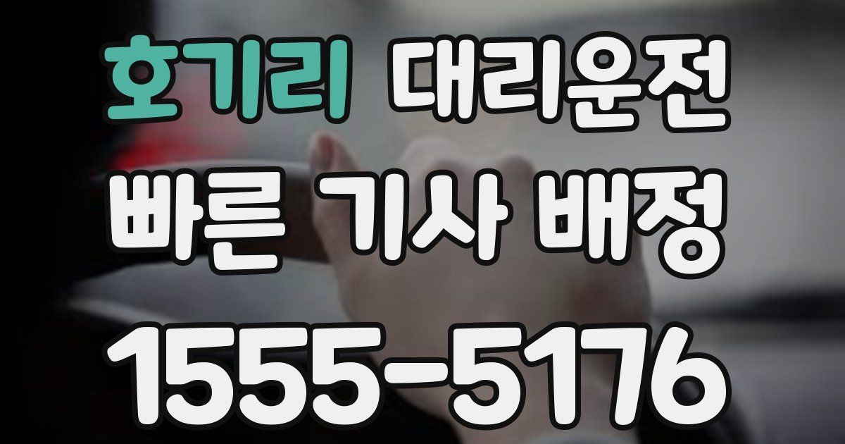일일대리기사