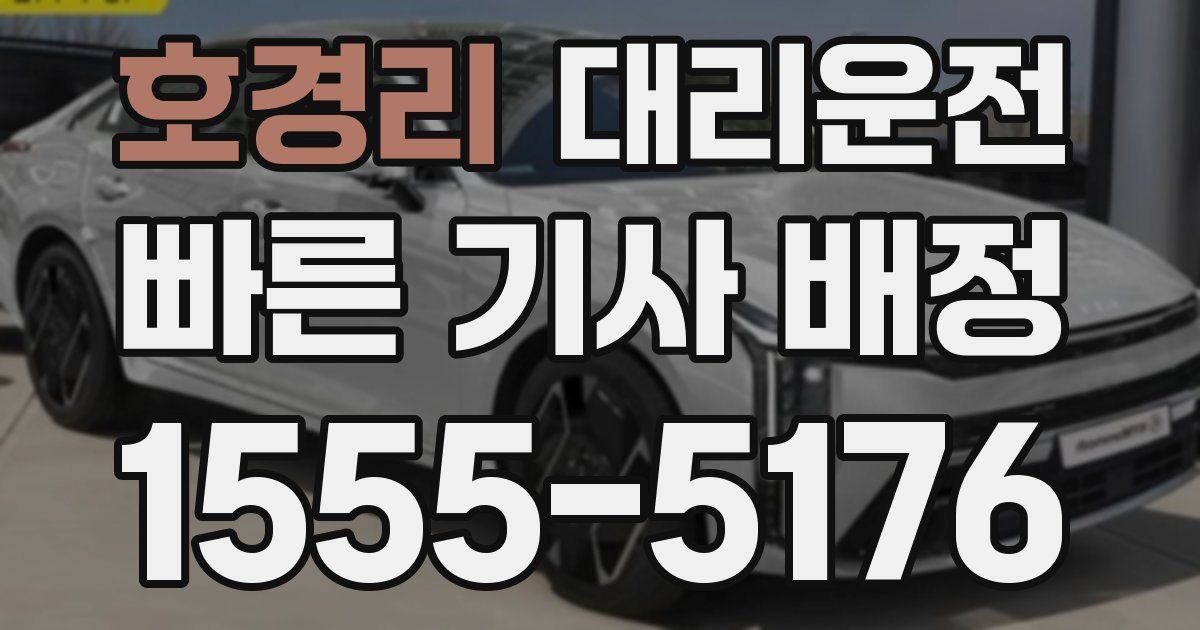 일일대리기사