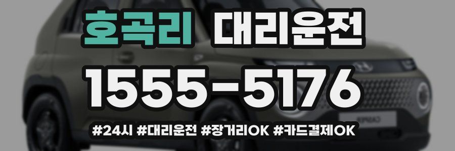 호곡리 대리운전