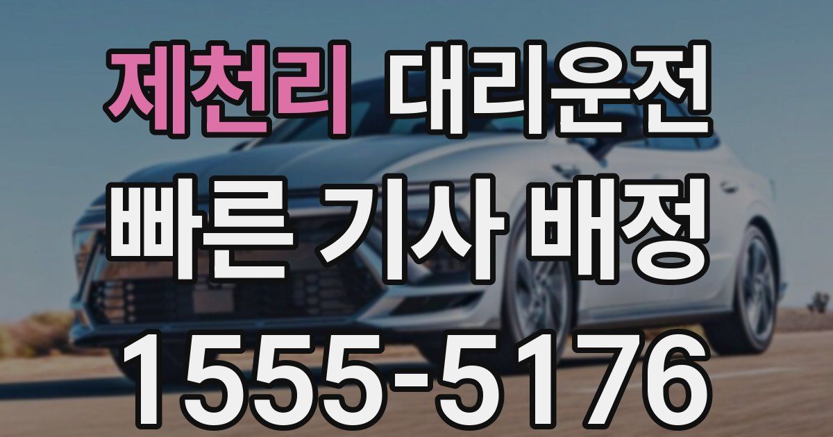 일일대리기사
