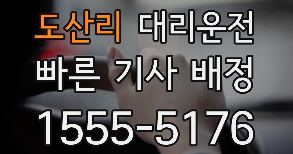 일일대리기사