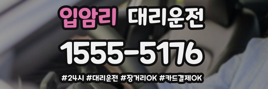 입암리 대리운전