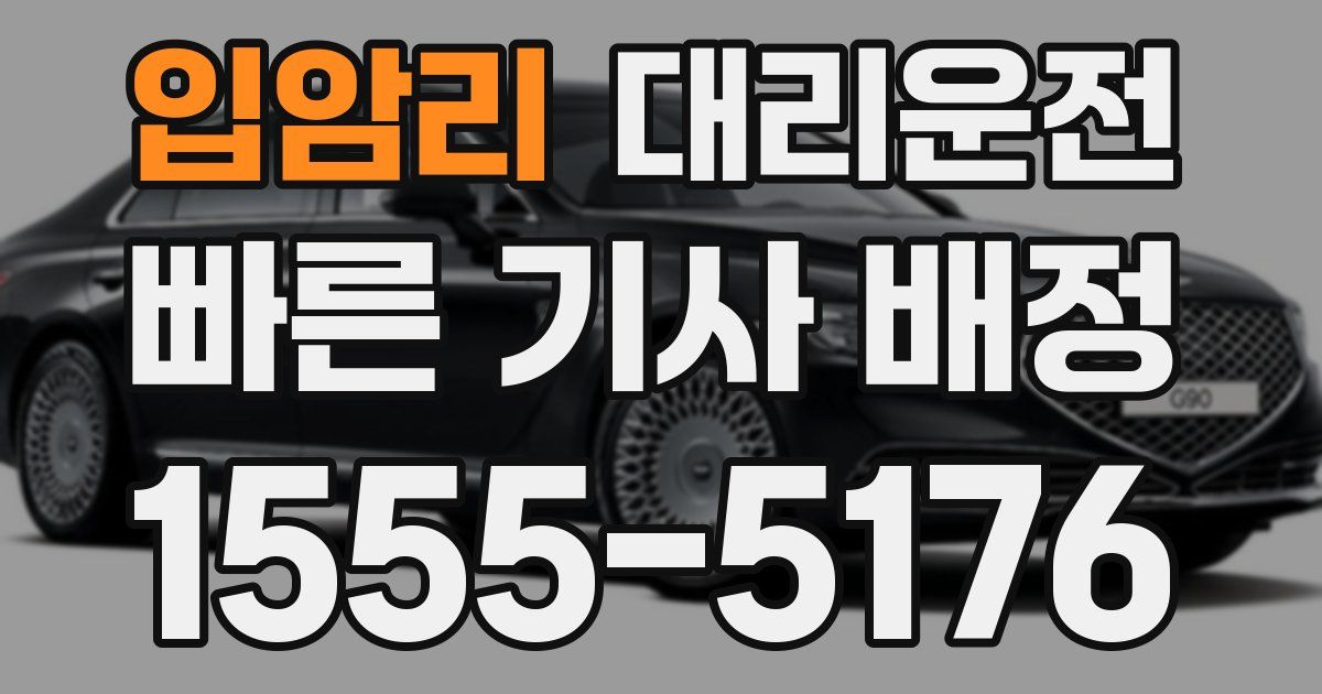 일일대리기사