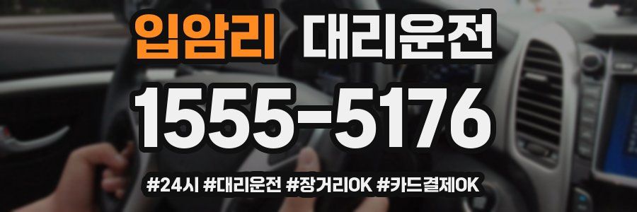 입암리 대리운전