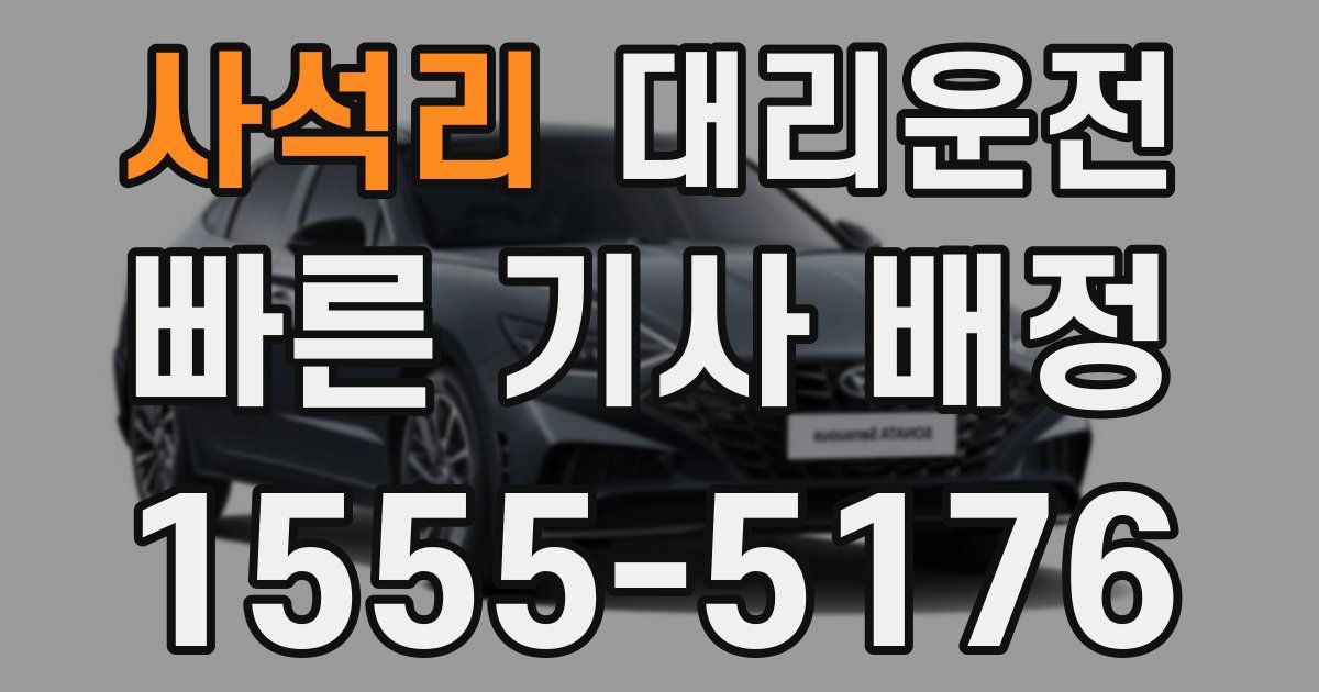 일일대리기사