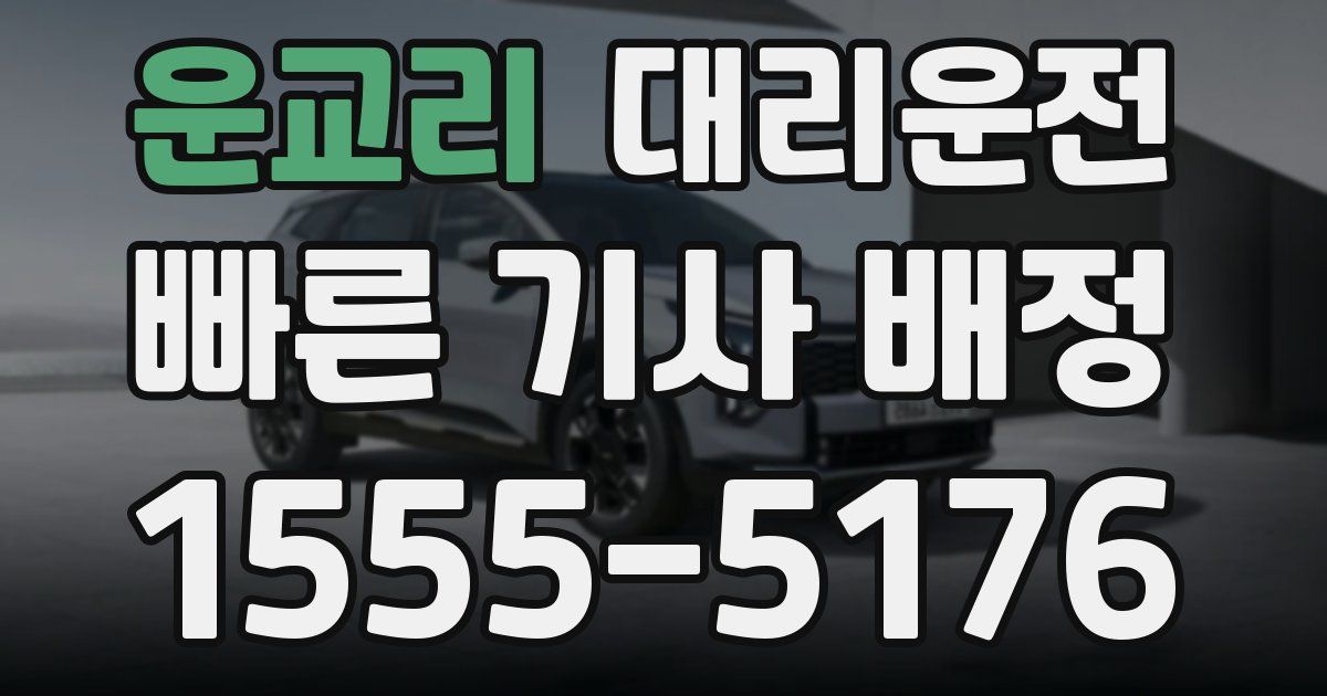 일일대리기사