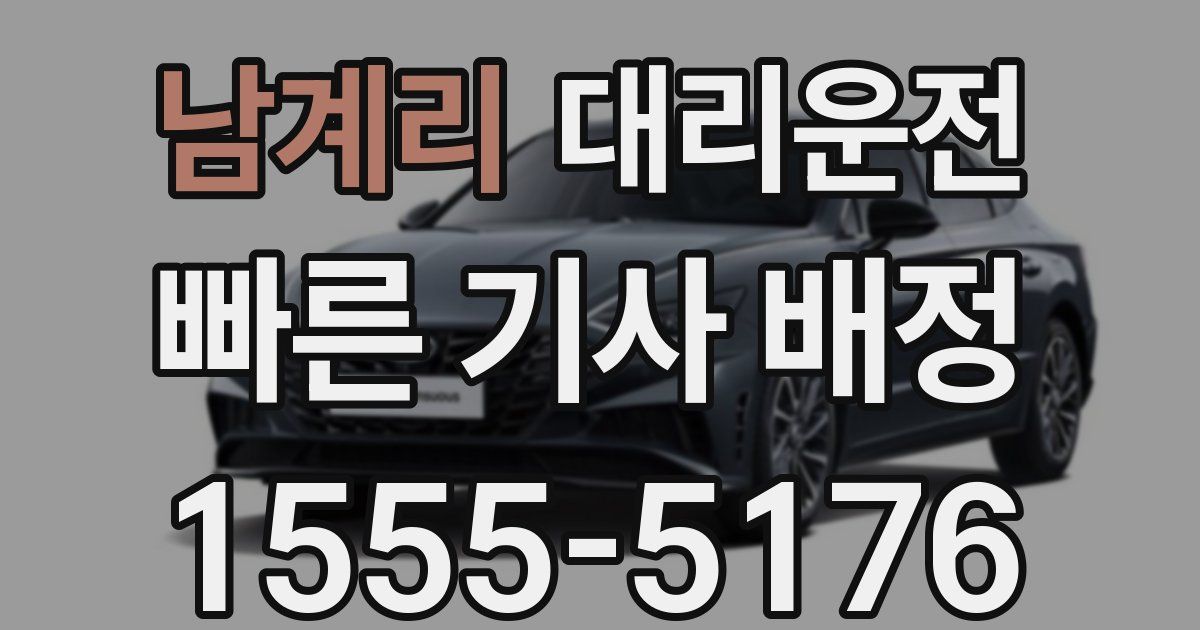 일일대리기사