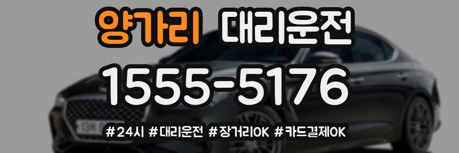 양가리 대리운전