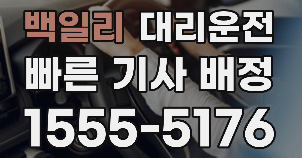 일일대리기사