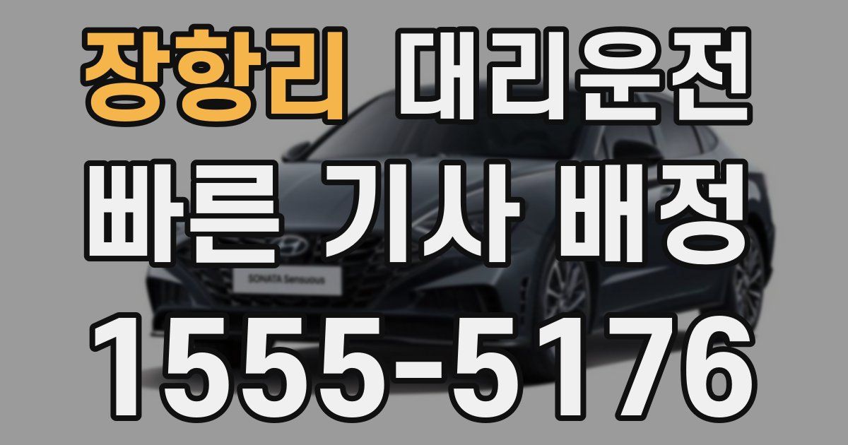 일일대리기사