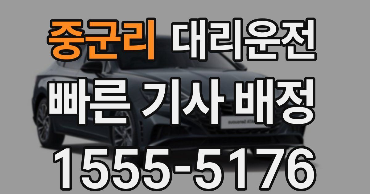 일일대리기사
