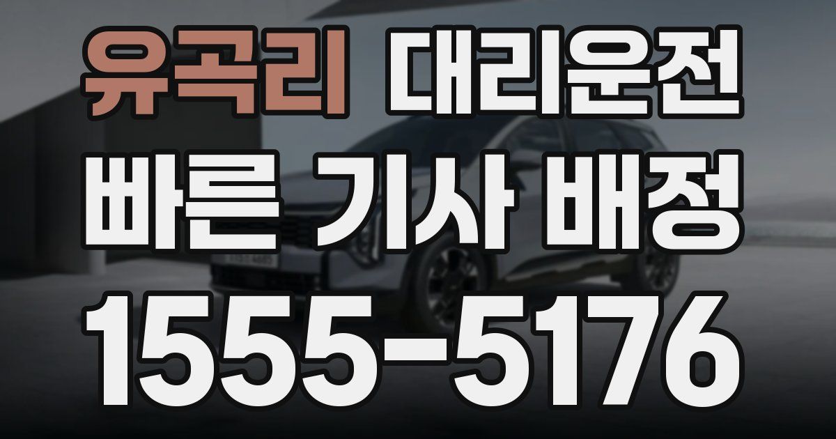 일일대리기사