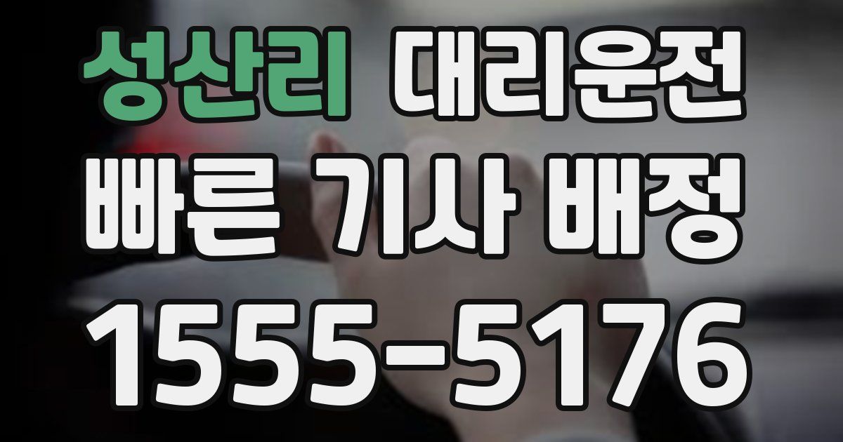 일일대리기사