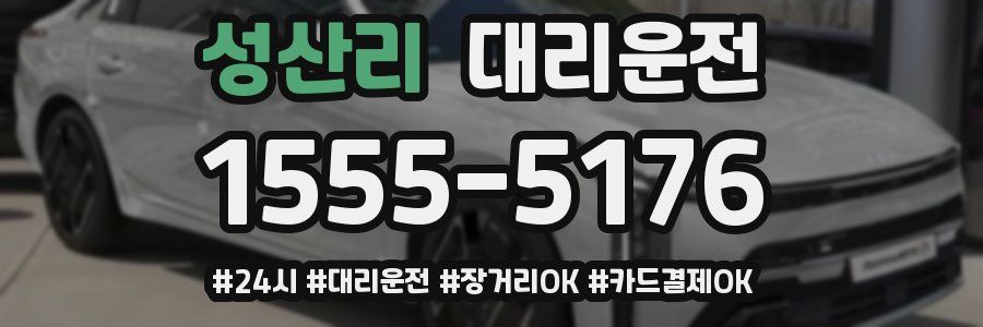 성산리 대리운전