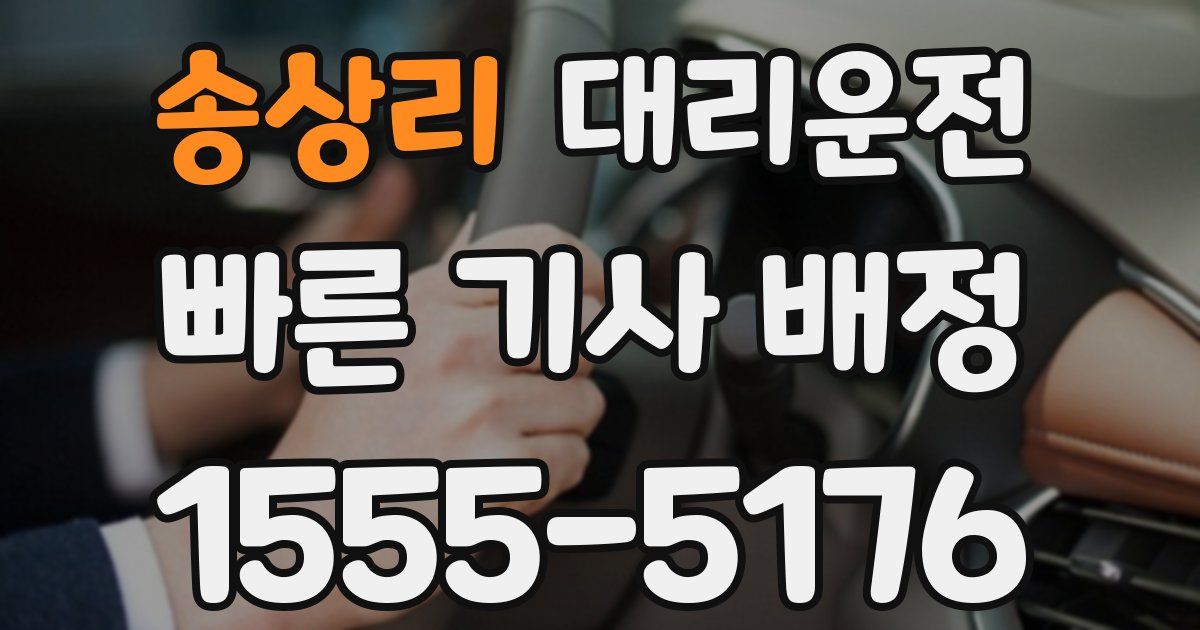 일일대리기사