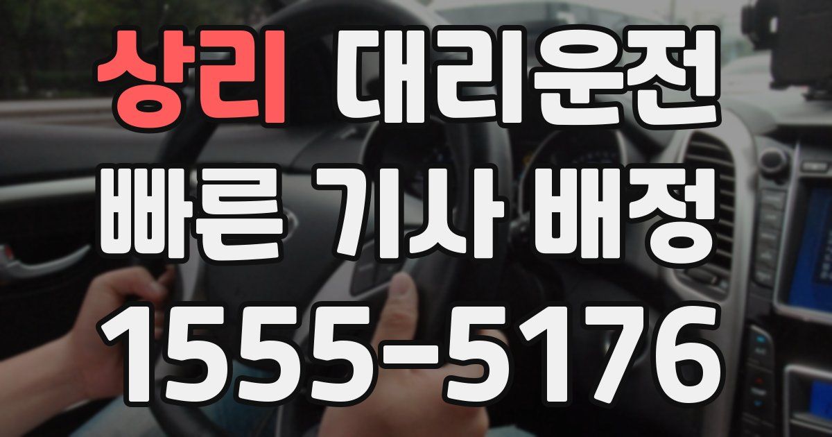 일일대리기사
