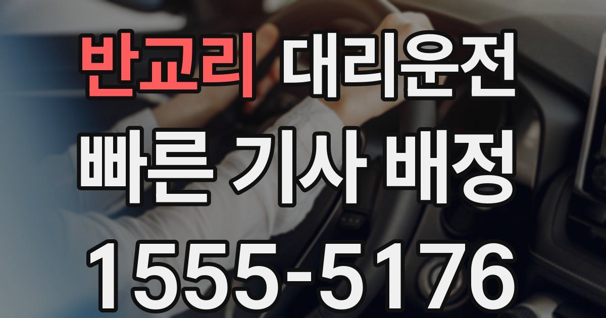 일일대리기사
