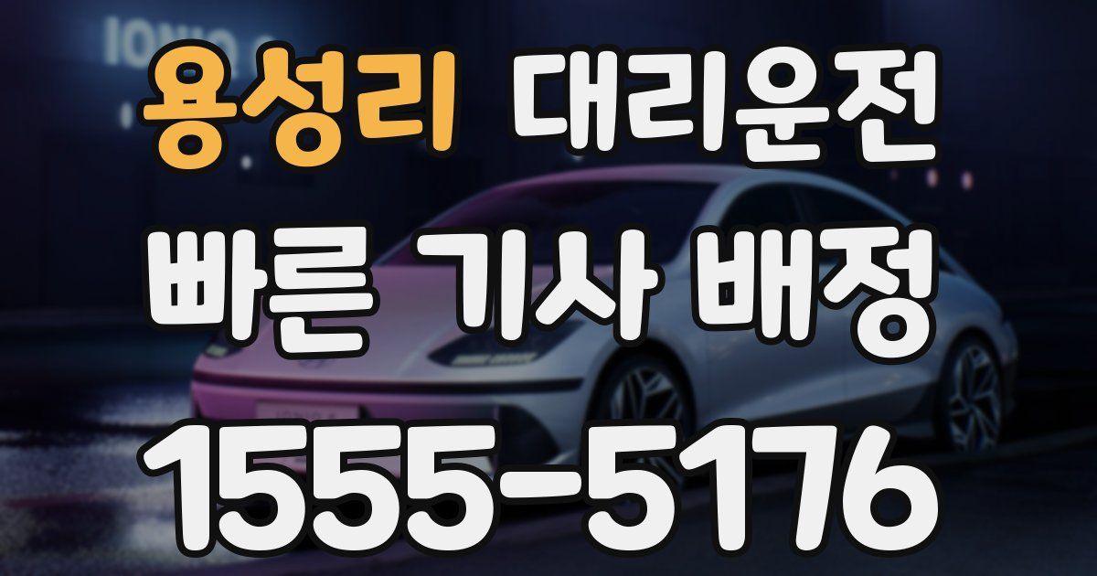 일일대리기사
