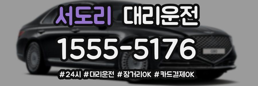 서도리 대리운전