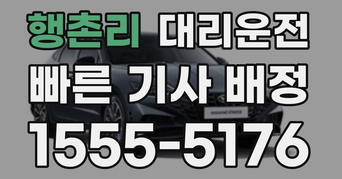 일일대리기사
