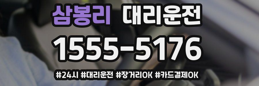 삼봉리 대리운전