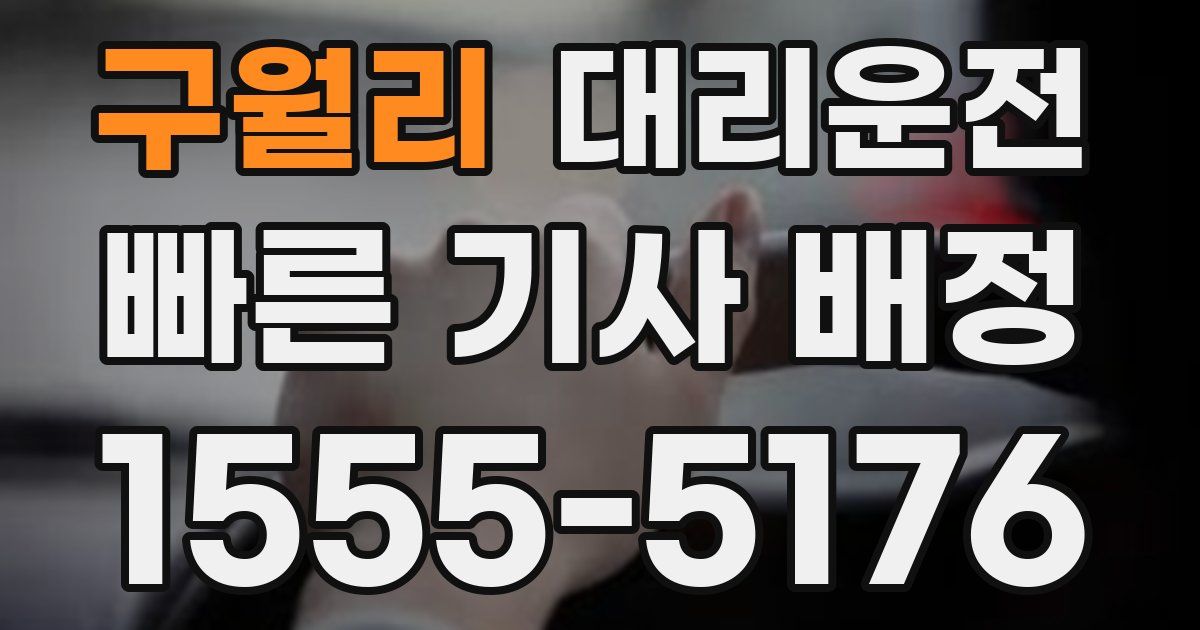 일일대리기사