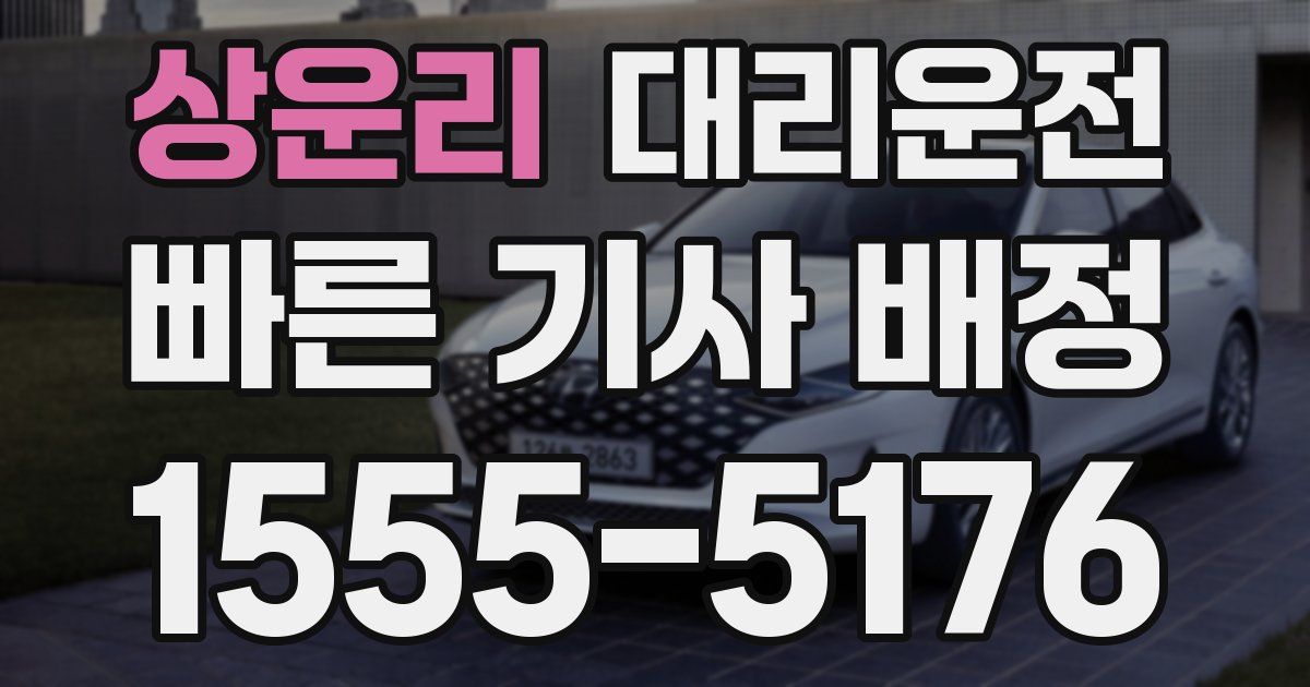 일일대리기사