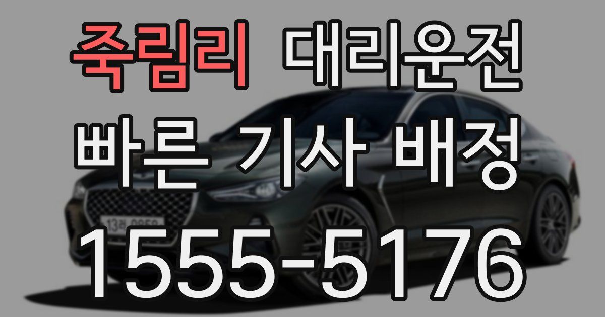 일일대리기사