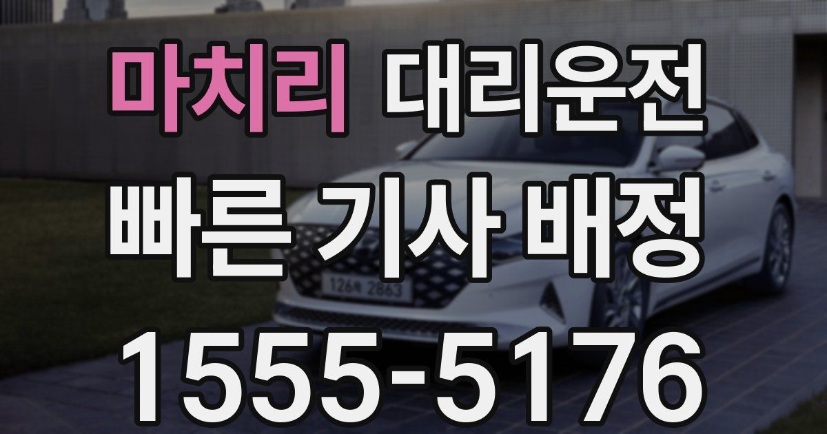 일일대리기사