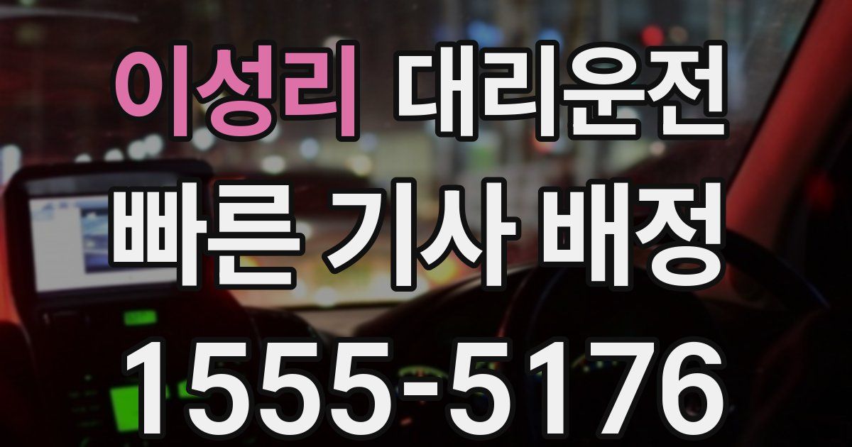 일일대리기사