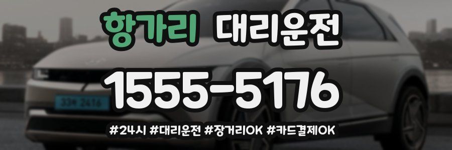 항가리 대리운전