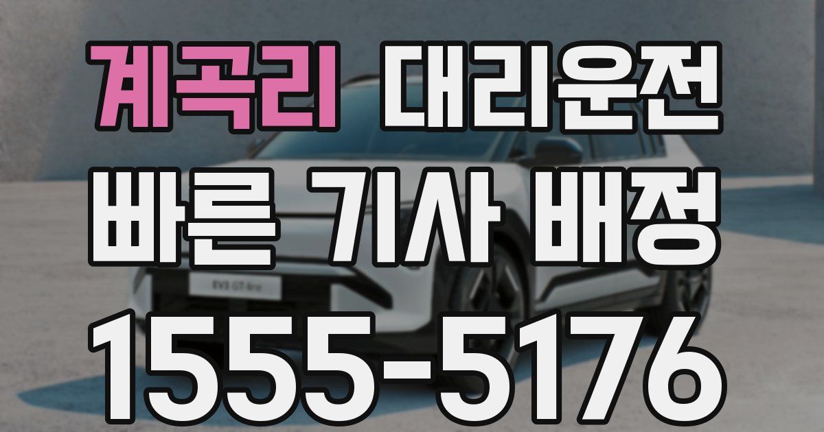 일일대리기사