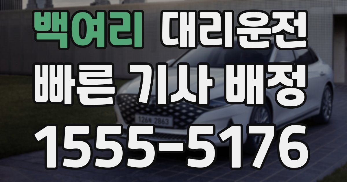 일일대리기사