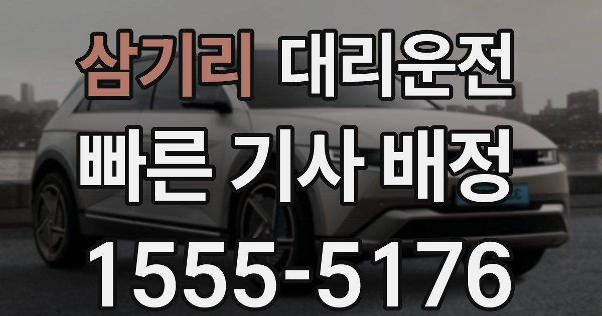 일일대리기사