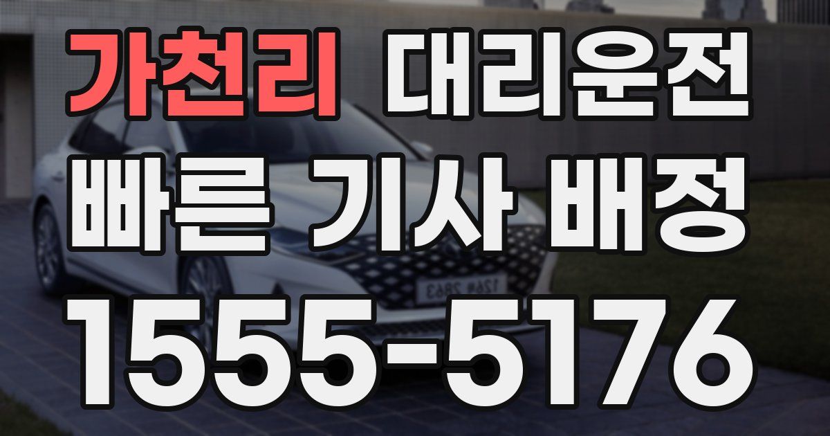 일일대리기사