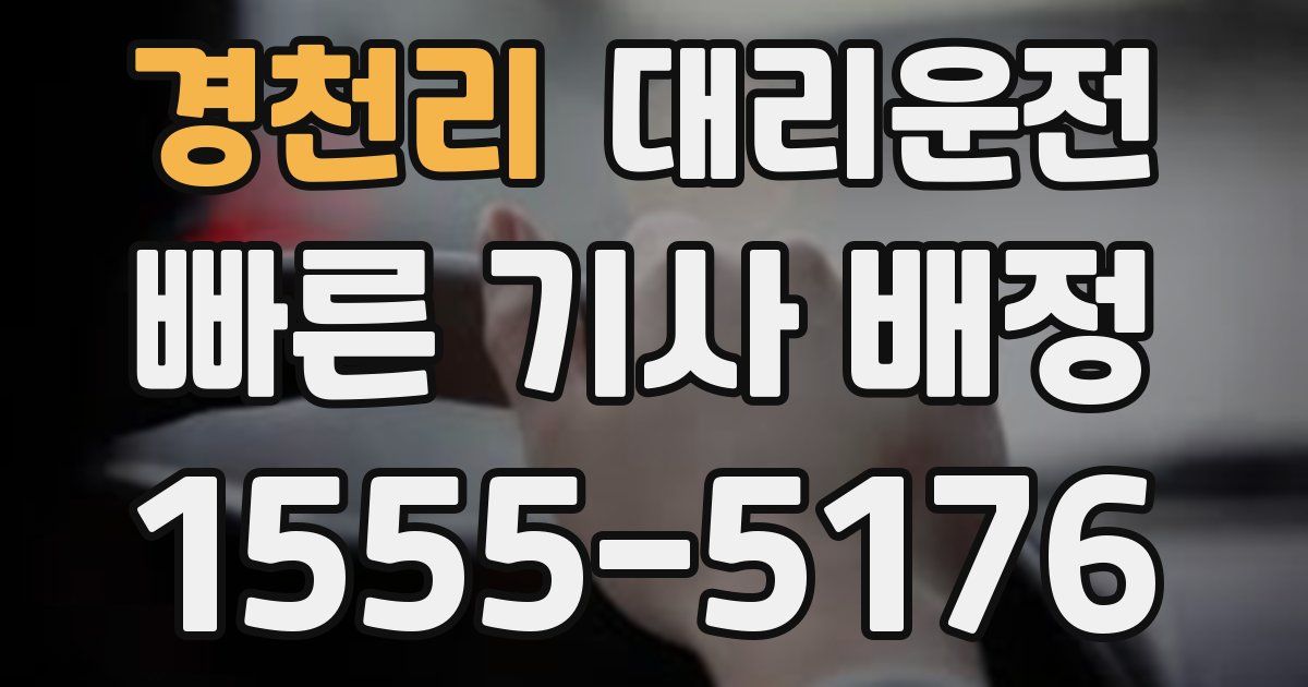 일일대리기사