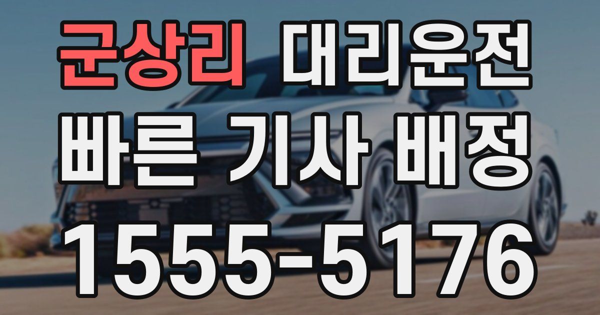 일일대리기사