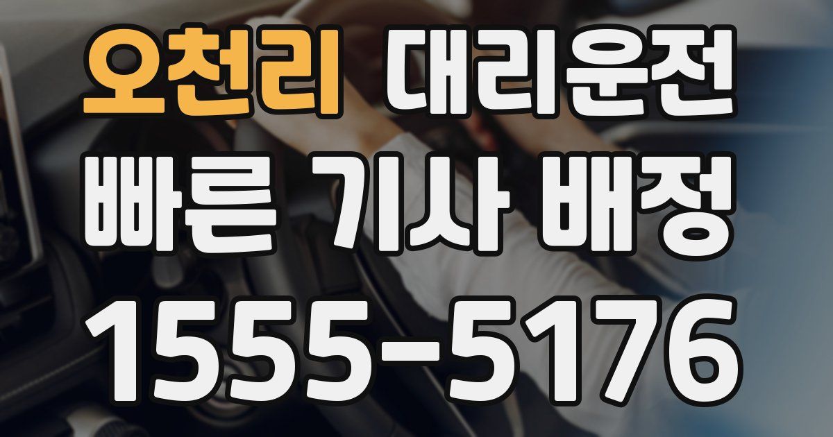 일일대리기사